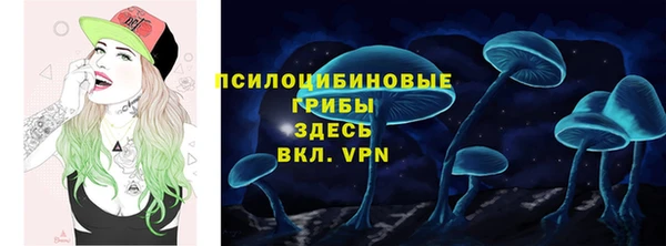 амф Алексеевка